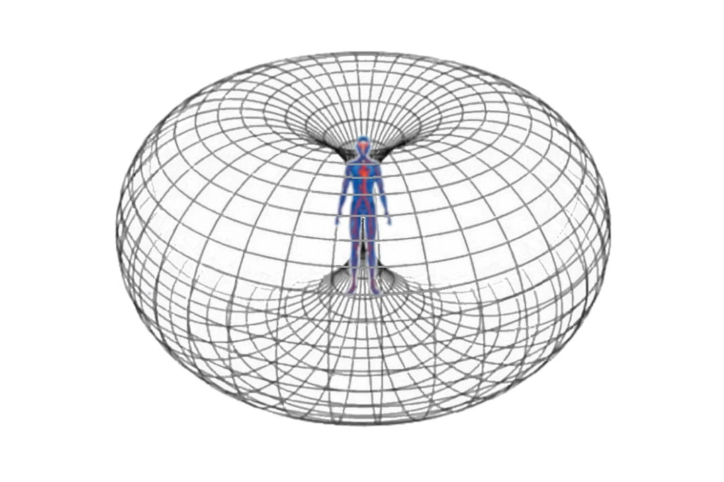 torus field grid